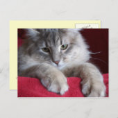 wunderschöne Rosine Postkarte 4 (Vorne/Hinten)