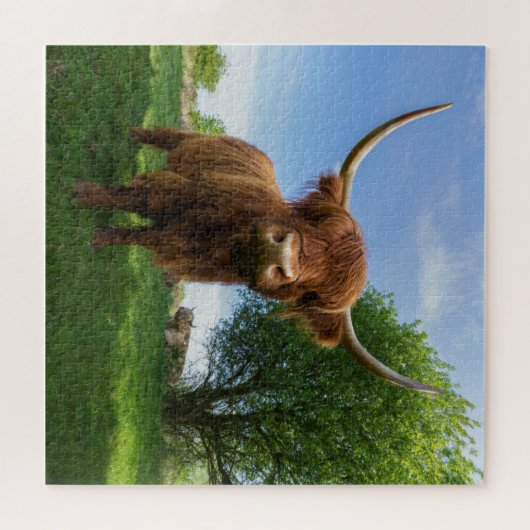 Wunderschöne schottische Hochlandkuh Puzzle (Horizontal)