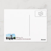 Wunderschöne Solvang-Ansichtskarte! Postkarte (Rückseite)