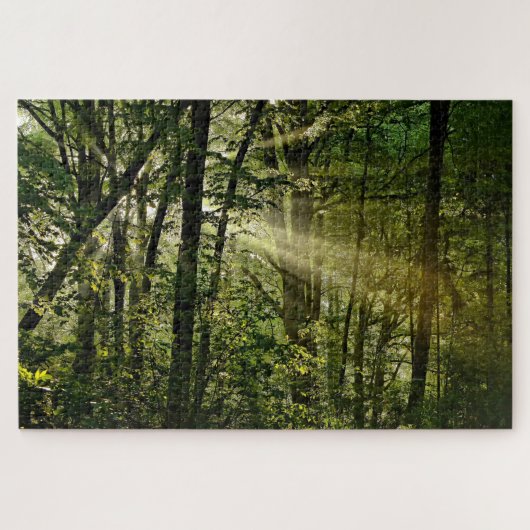 Wunderschöne Sonnenbänke im Morgenwald Puzzle (Horizontal)