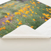 wunderschöne und duftende Wildblumen, die in Tuben Sherpadecke (3/4)