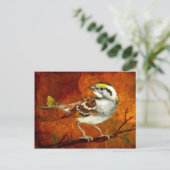 wunderschöne Vogel Postkarten 13 (Stehend Vorderseite)