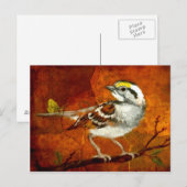 wunderschöne Vogel Postkarten 13 (Vorne/Hinten)