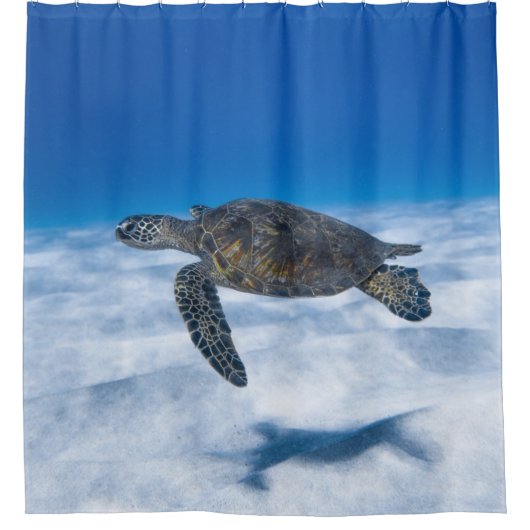 Wunderschöne Wasserschildkröte Duschvorhang (Vorderseite)