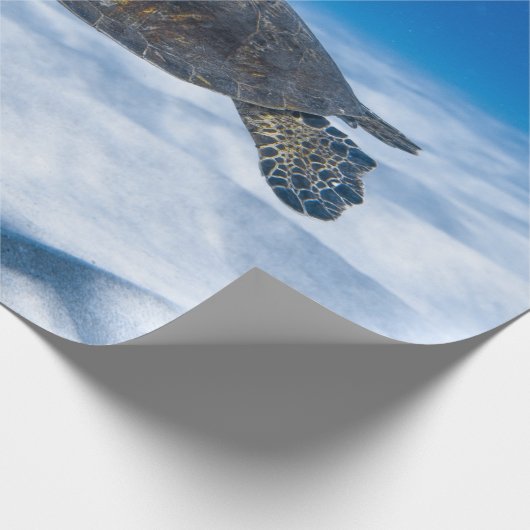 Wunderschöne Wasserschildkröte Geschenkpapier (Ecke)