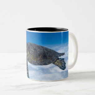 Wunderschöne Wasserschildkröte Zweifarbige Tasse