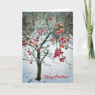 Wunderschöne Weihnachts-Grußkarte! Karte