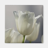 Wunderschöne weiße Frühlingshuppen Magnet (Vorne)