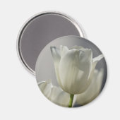 Wunderschöne weiße Frühlingshuppen Magnet (Vorderseite/Rückseite)