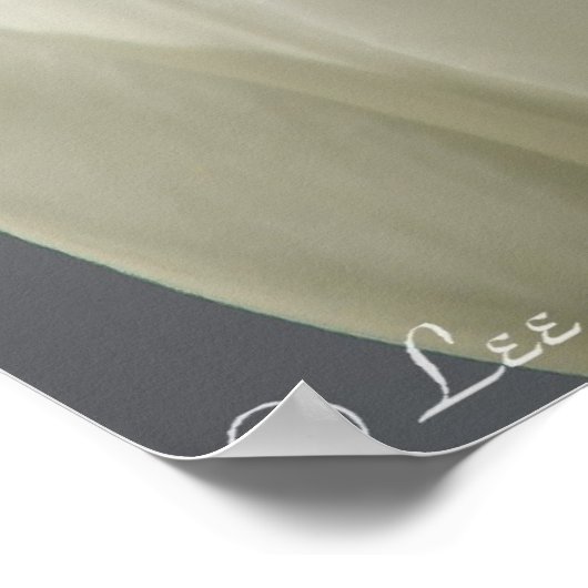 Wunderschöne weiße Frühlingshuppen Poster (Ecke)