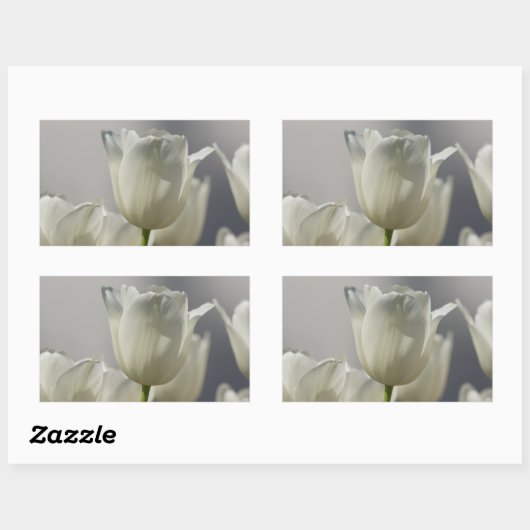 Wunderschöne weiße Frühlingshuppen Rechteckiger Aufkleber (Blatt)