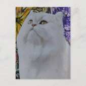 Wunderschöne weiße Katze in Blumen-Collage Postkarte (Vorderseite)