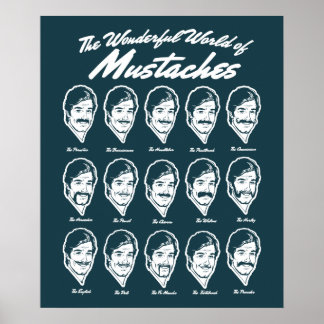 Wunderschöne Welt von Mustaches Poster