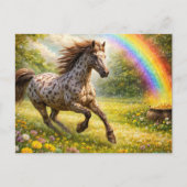 Wunderschöner Appaloosa am Regenbogen Postkarte (Vorderseite)