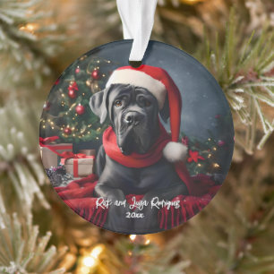 Wunderschöner Cane Corso mit Weihnachtsmannmütze Ornament