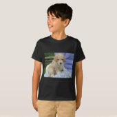 Wunderschöner Cavapoo-Welpe, der Sie ansieht, isol T-Shirt (Vorne ganz)