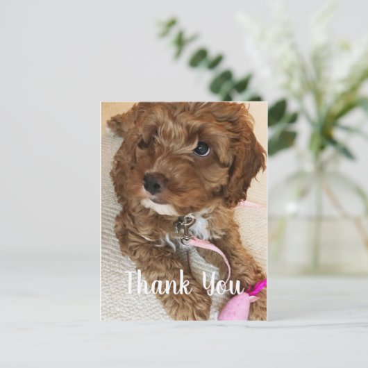 Wunderschöner Cockapoo Welpe Danke Karte (Stehend Vorderseite)