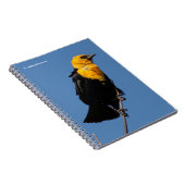 Wunderschöner, gelb gehauchter Schwarzvogel an ein Notizblock (Rechte Seite)