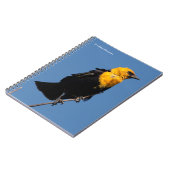 Wunderschöner, gelb gehauchter Schwarzvogel an ein Notizblock (Linke Seite)