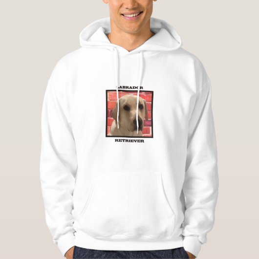 Wunderschöner Gelber Labrador Retriever Hund, Cool Hoodie (Vorderseite)
