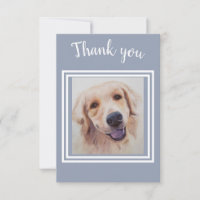 Wunderschöner Golden Labrador Welpe Vielen Dank