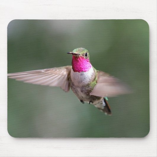 Wunderschöner Hummingbird in Flight Mouse Pad Mousepad (Vorne)