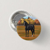 Wunderschöner Pferdehengst aus dem Schwarzen Viert Button (Vorne & Hinten)