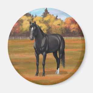 Wunderschöner Pferdehengst aus dem Schwarzen Viert Magnet