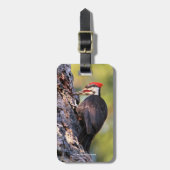 Wunderschöner Pileated Woodpecker auf dem Baum Gepäckanhänger (Vorderseite vertikal)