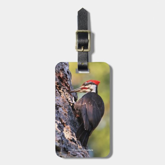 Wunderschöner Pileated Woodpecker auf dem Baum Gepäckanhänger (Vorderseite vertikal)