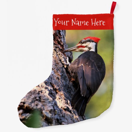 Wunderschöner Pileated Woodpecker auf dem Baum Großer Weihnachtsstrumpf (Rückseite)