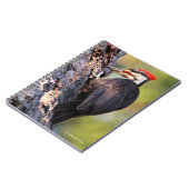 Wunderschöner Pileated Woodpecker auf dem Baum Notizblock (Linke Seite)