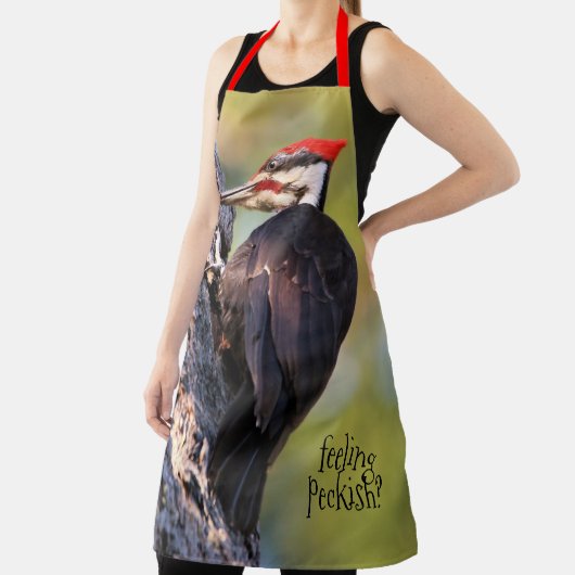 Wunderschöner Pileated Woodpecker auf dem Baum Schürze (InSitu)