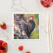 Wunderschöner Pileated Woodpecker auf dem Baum Serviette (Beispiel)