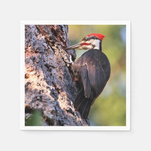 Wunderschöner Pileated Woodpecker auf dem Baum Serviette (Vorderseite)