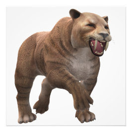 Wunderschöner Säbelzahntiger  Fotodruck