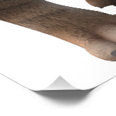 Wunderschöner Säbelzahntiger  Fotodruck (Ecke)