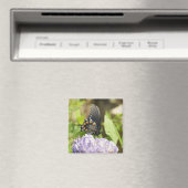 Wunderschöner Schmetterling und Lila Blume Magnet (In Situ (Geschirrspüler))