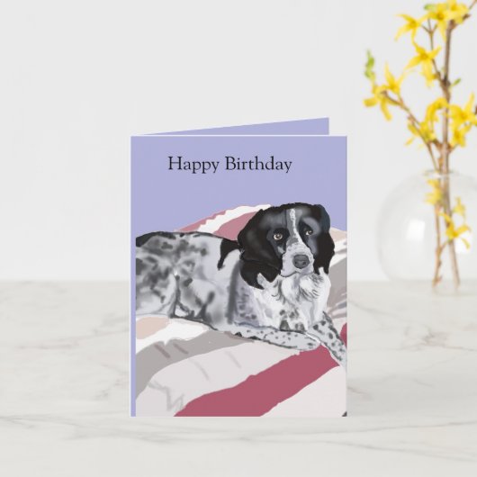 Wunderschöner Schwarz-weißer Springer Spaniel Karte (Gelbe Blume)