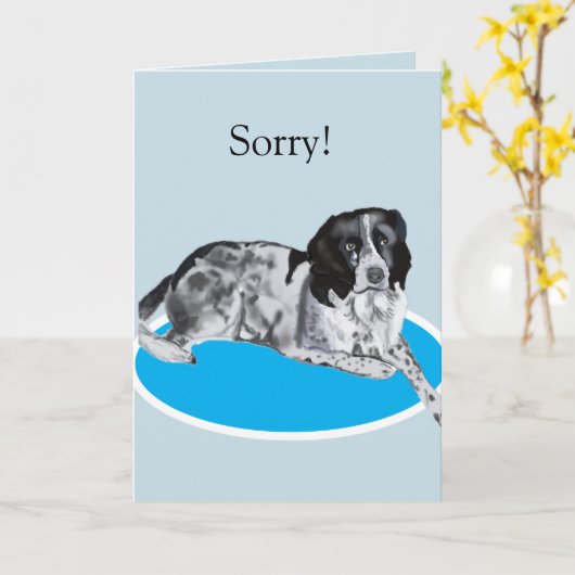 Wunderschöner Schwarz-weißer Springer Spaniel Sorr Karte (Gelbe Blume)