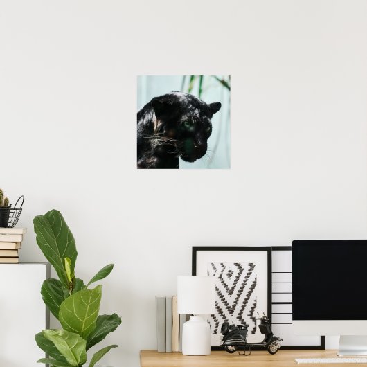 Wunderschöner Schwarzer Panther Poster (Heimbüro)