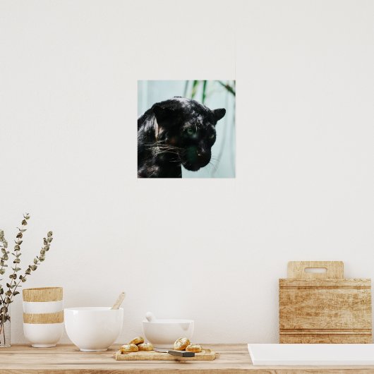 Wunderschöner Schwarzer Panther Poster (Küche)