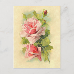 Wunderschöner Vintage viktorianischer Blumenrosens Postkarte