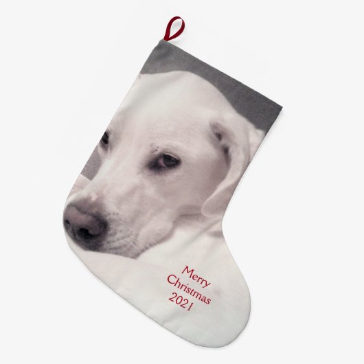 Wunderschöner weißer Labrador Mix Welpenhund Grau Großer Weihnachtsstrumpf (Vorderansicht (hängend))