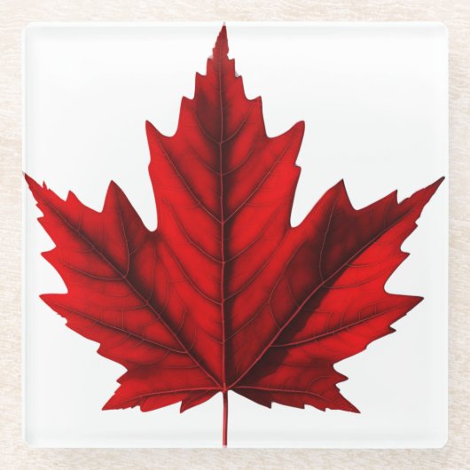 Wunderschönes Ahornblatt Glasuntersetzer (Vorderseite)