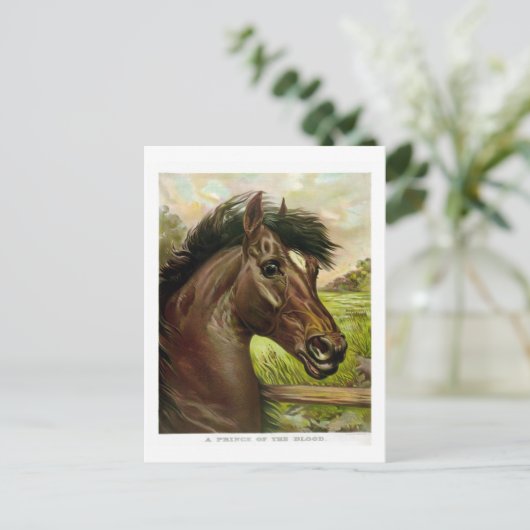 wunderschönes antikes Pferdelithopgemälde Postkarte (Stehend Vorderseite)