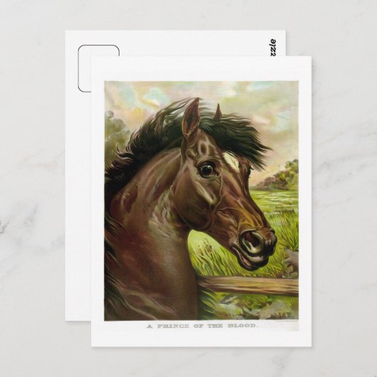 wunderschönes antikes Pferdelithopgemälde Postkarte (Vorne/Hinten)