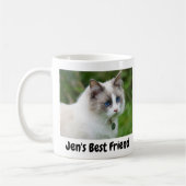 Wunderschönes blauäugiges Kätzchen Kaffeetasse (Links)