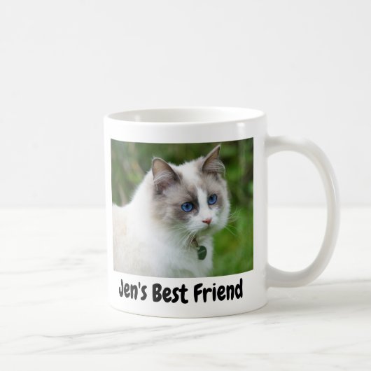 Wunderschönes blauäugiges Kätzchen Kaffeetasse (Rechts)