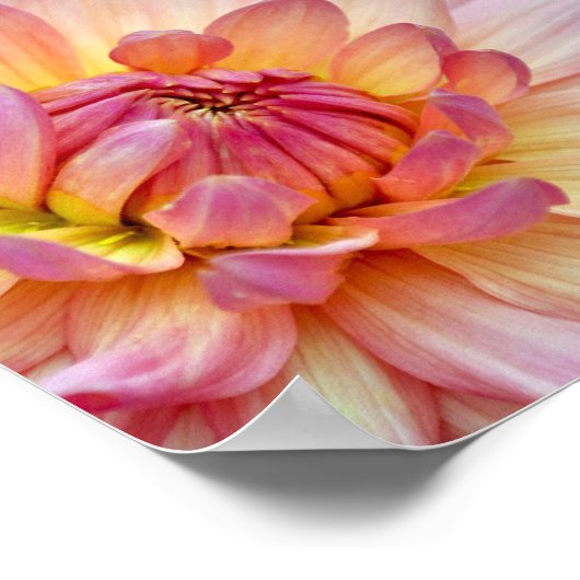 Wunderschönes Blume Collage Print Poster (Ecke)